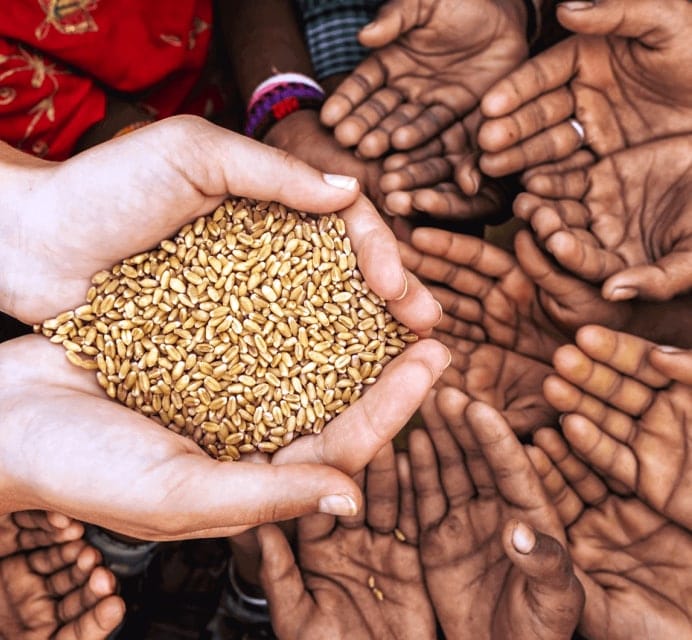 400 Million People Around the World Are on the Verge of Hunger