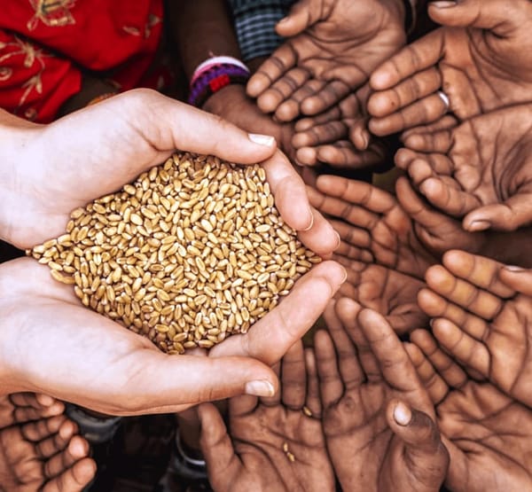 400 Million People Around the World Are on the Verge of Hunger
